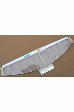 Model F2D " Trifonov silver"  wood with carbon trailing edge