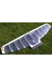Model F2D "Rastenis" carbon spars, EPP foam.
