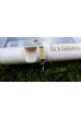 Model F2D "Rastenis" spars fiberglass, foam EPP, carbon steering.