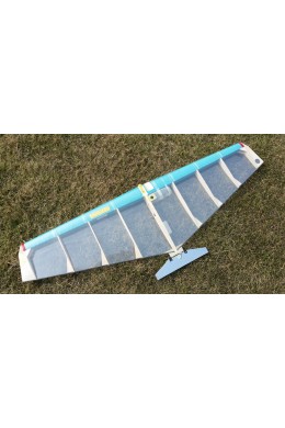 Model F2D Andrej Beljaev  with carbon trailing edge and full kevlar wrapping